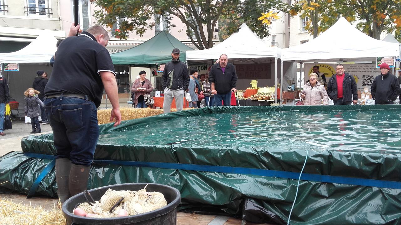 suivi réaction des truites